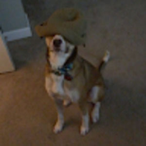 Meet your Posher, Jackson